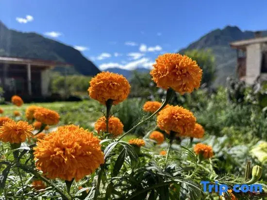 Huatang Yiyuan Boutique Homestay