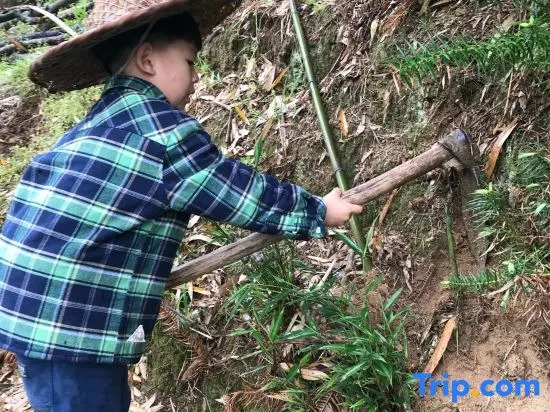 Tongcheng Shangmen No.8 Guesthouse