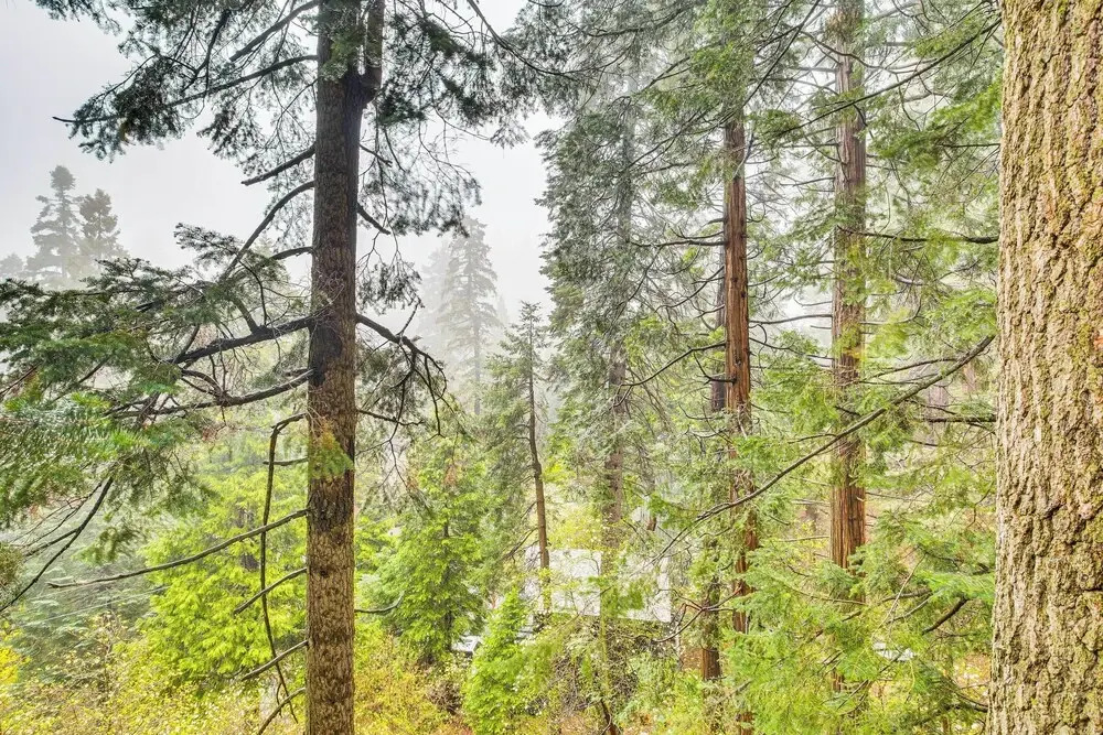 Modern Lake Arrowhead Retreat: 3 Mi to Village