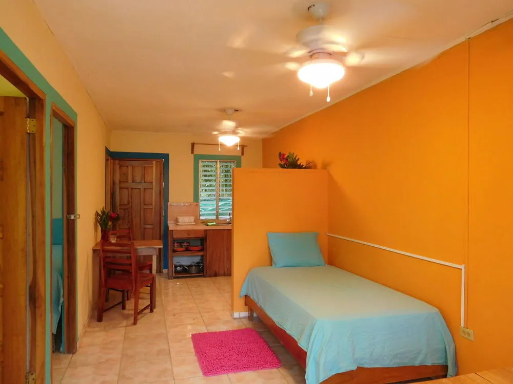 Petra's Calle 8