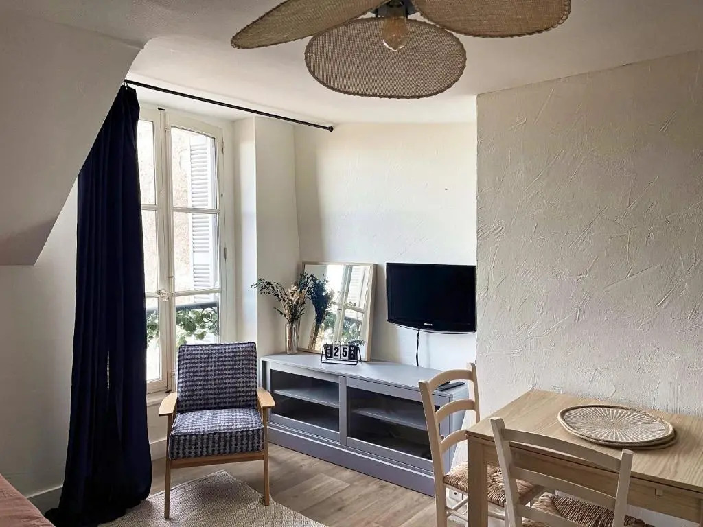☆ Sur les toits de Blois ☆ T2 avec vue Château