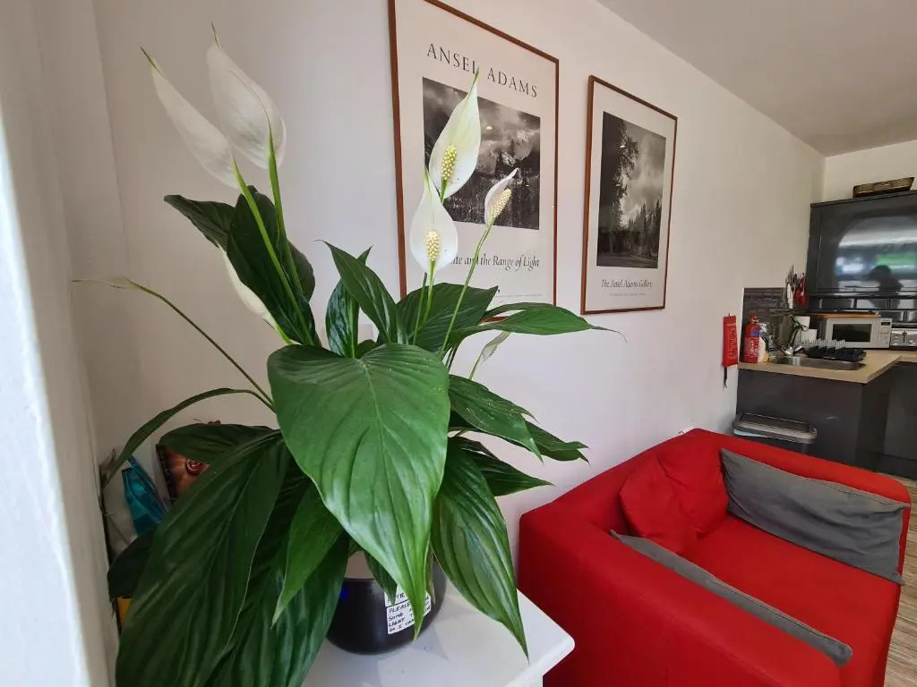 Smart Town Centre Apartments