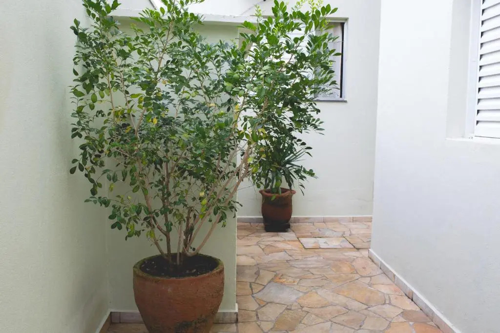 Pousada Santa Inês