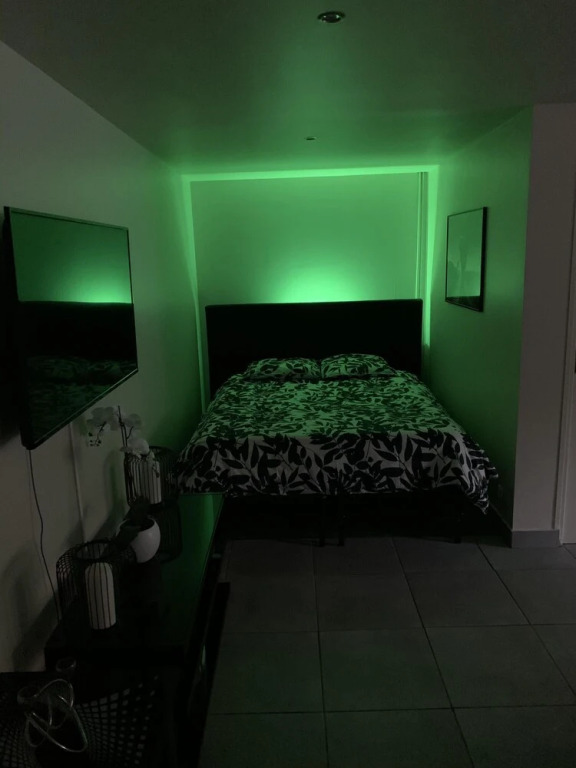 Appartement cosy proche Roissy CDG Astérix DisneyLand Paris