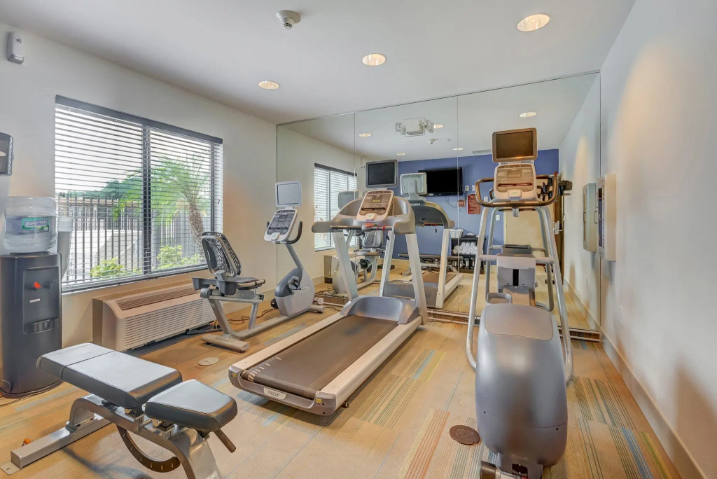 Holiday Inn Express Hotel & Suites Tampa-USF-Busch Gardens by IHG