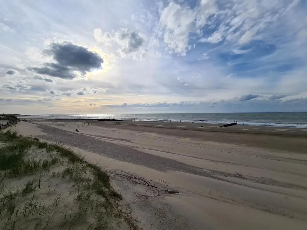 Park Schoneveld: Zeester 64