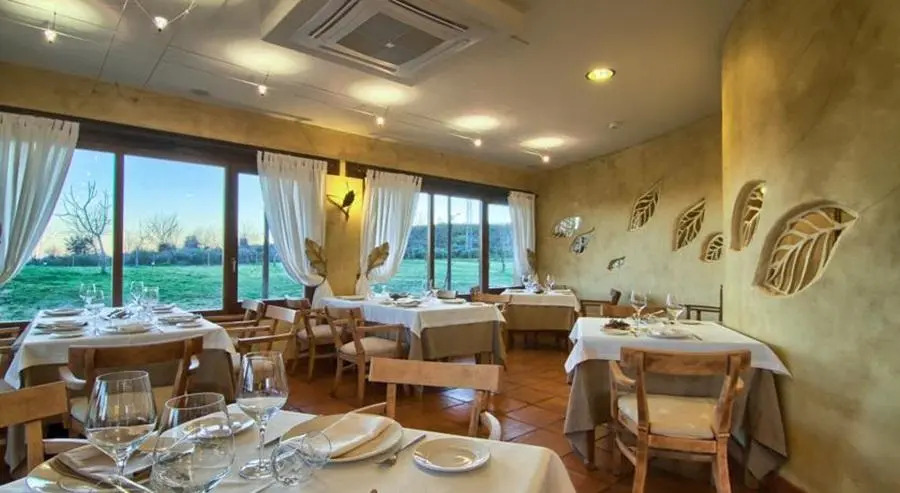 Hotel Llano Tineo