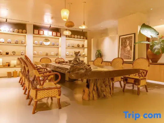 Yunshan Pu Tea|Tea Fire Pond Roasted Tea·Cloud Sea Music homestay(Jingmai Mountain Area Store)