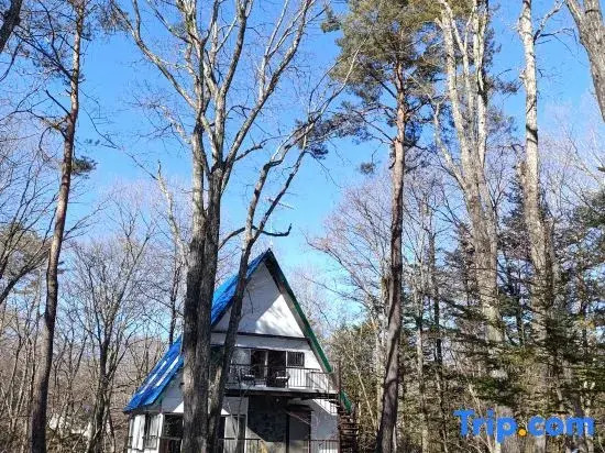 Kawa No Mori Villa Karuizawa - Ghibli-like Enchanted Riverside Moss Garden Forest Retreat