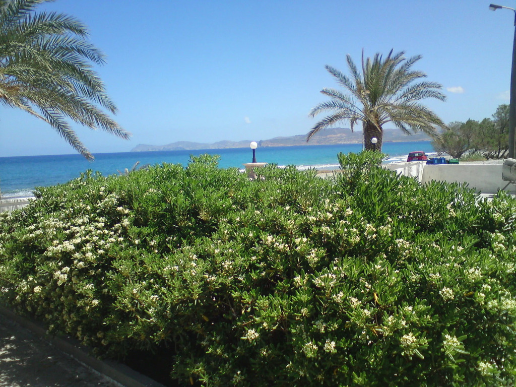 Hotel Petras Beach