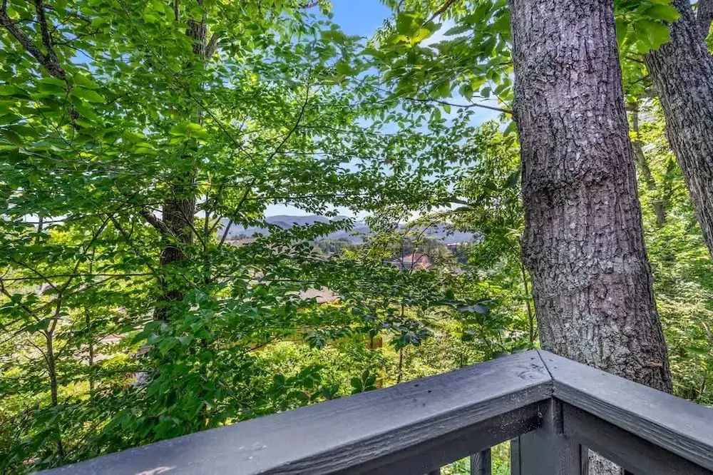Sleeps 6 Indoor Pool 10 Mins to Dollywood