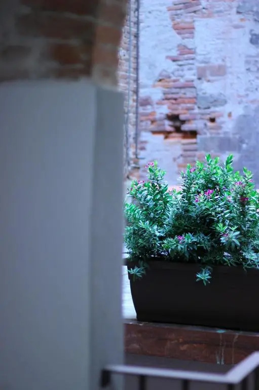 LuccaStay 99