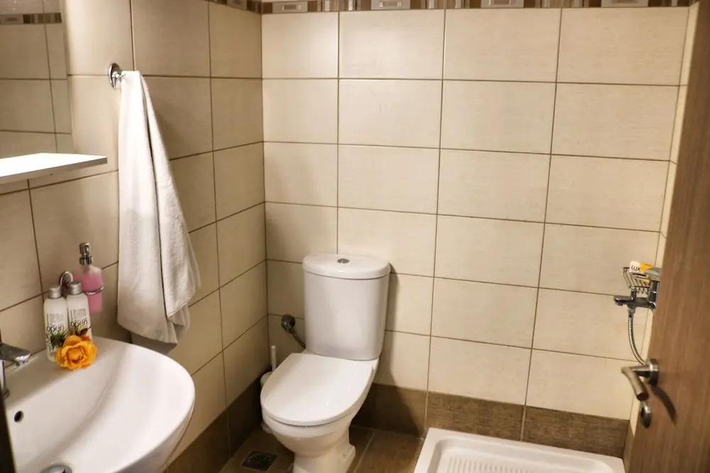 Central Apartment
