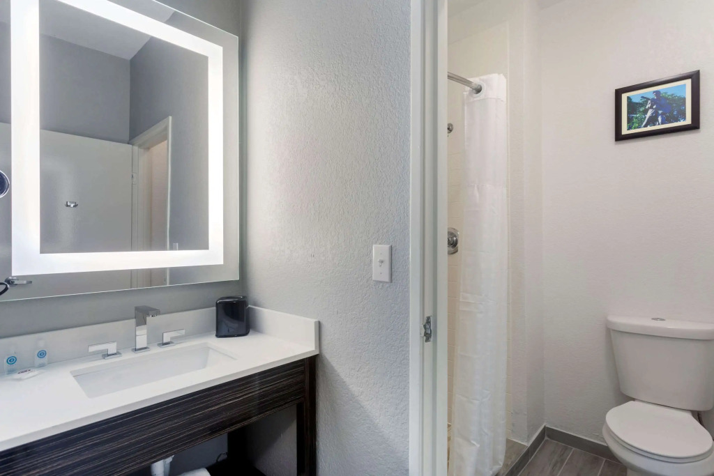 Comfort Inn & Suites Memphis East