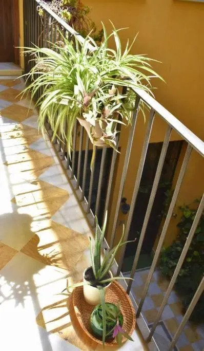 Malaga Dreams Oldtown FREE PARKING-WIFI-AC