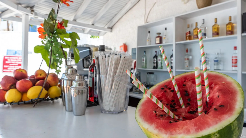 Anamar Skiathos Hotel