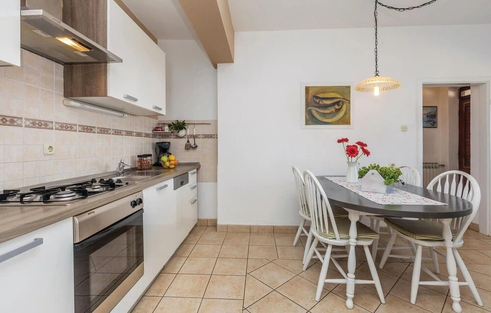Awesome Home In Senj With Kitchen