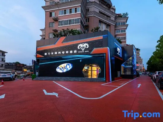 Nanyang Qiangliyang Business Electro-sports Hotel