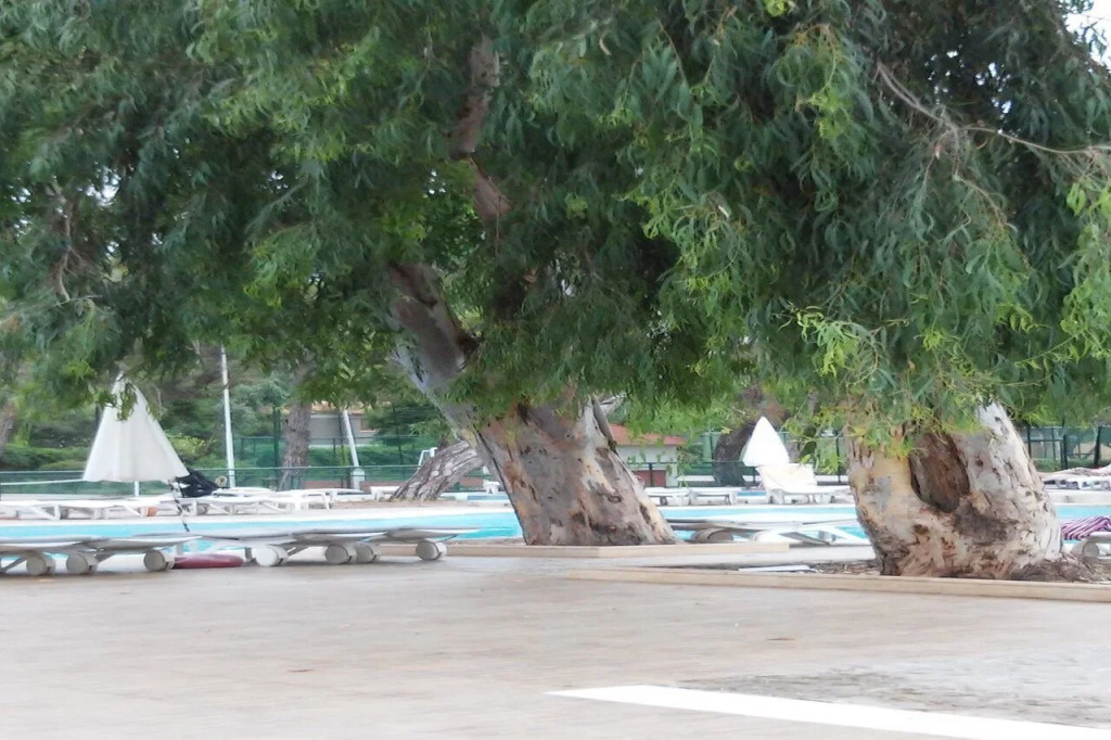 Bergiz Hotels & Resorts Kemer