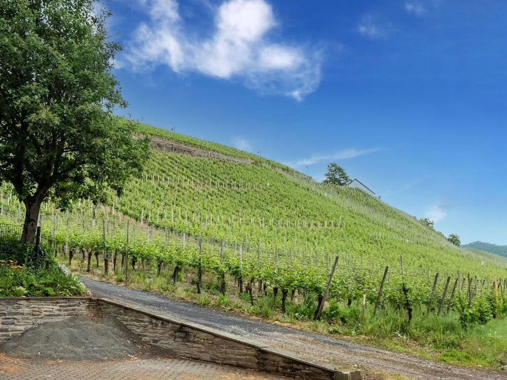 Exceptional Holiday Flat in Kinheim