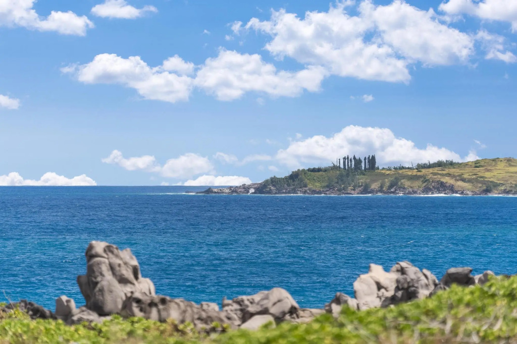 Kapalua Bay Villas 36G5 · KBV 36G5 1BD Condo w Unobstructed Ocea