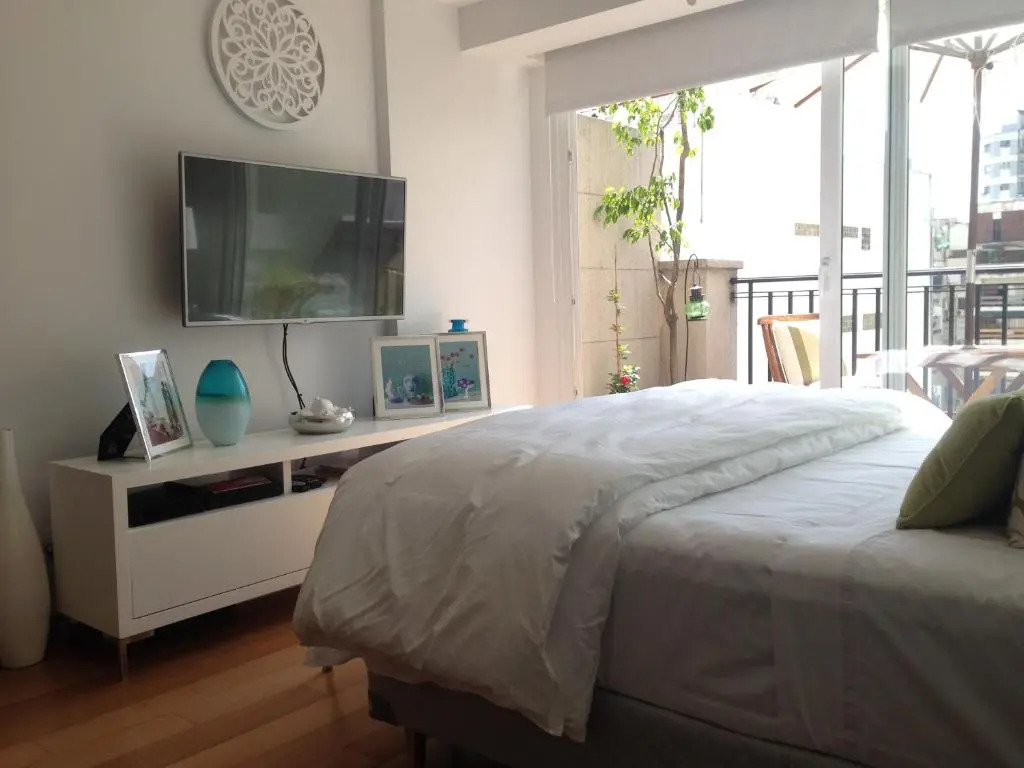 Luxury Apartment Recoleta with flexible Chek in or Check out