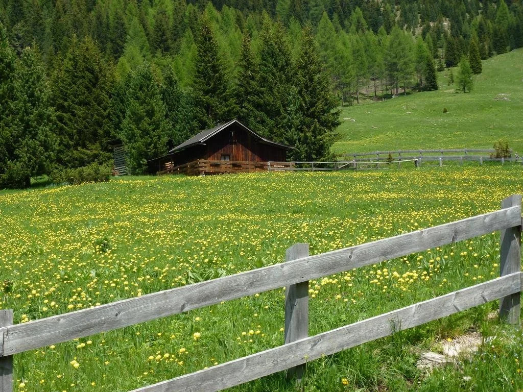 Hotel Bernard