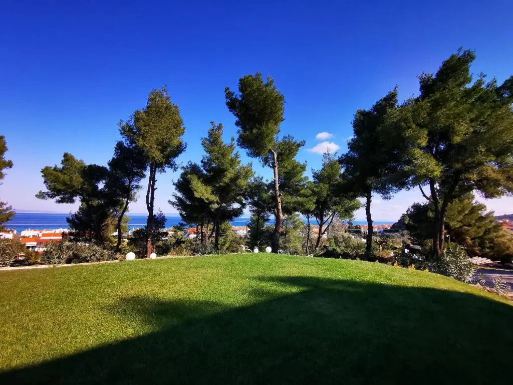 Pine Resort