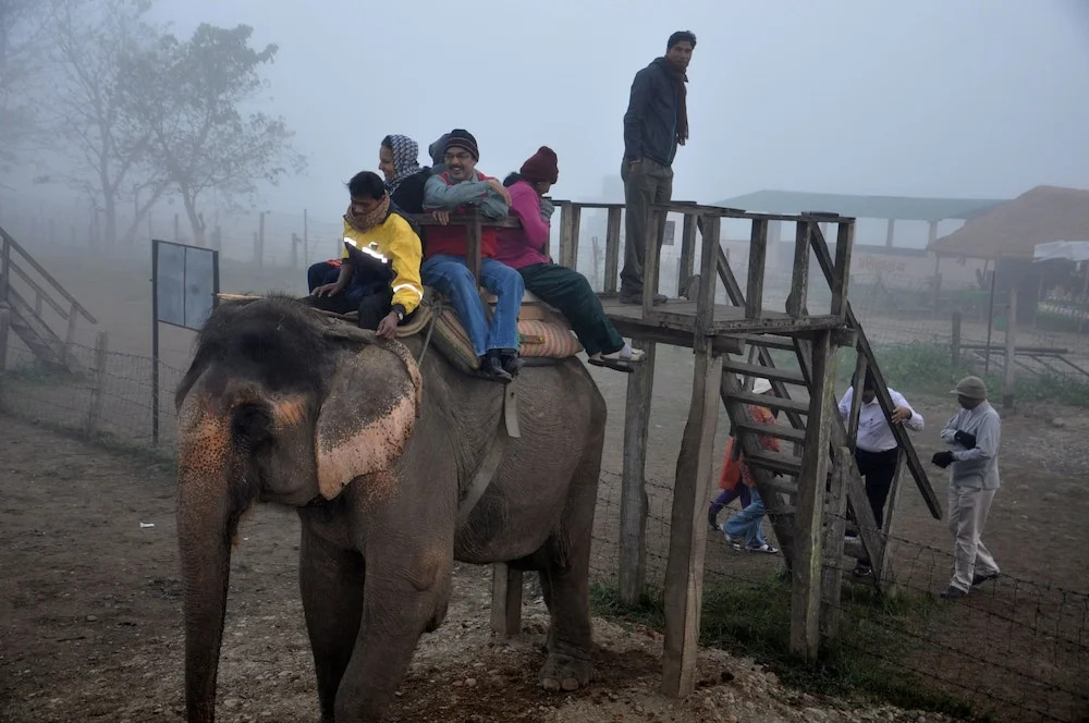 Hotel Sapana Village Lodge Chitwan