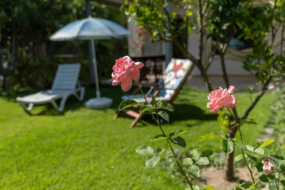Villa Belinda