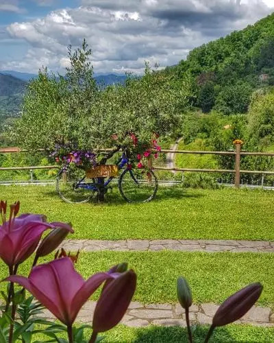 Relax nella Natura