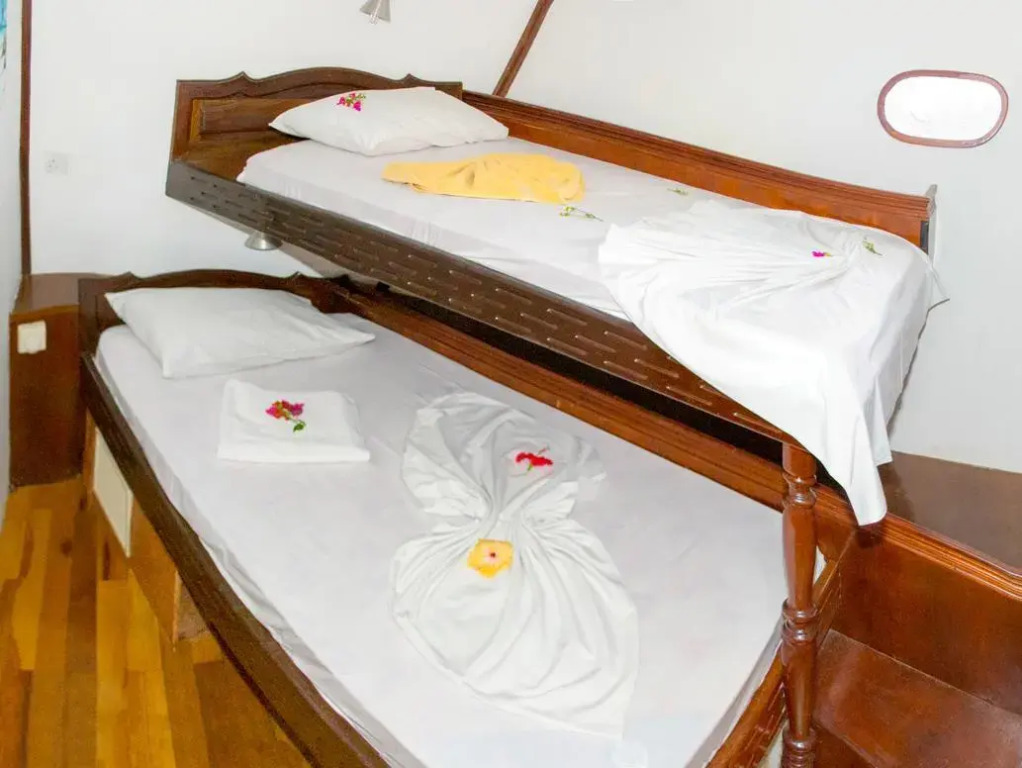 Maldivica Cruise ( Maldivian Dream)