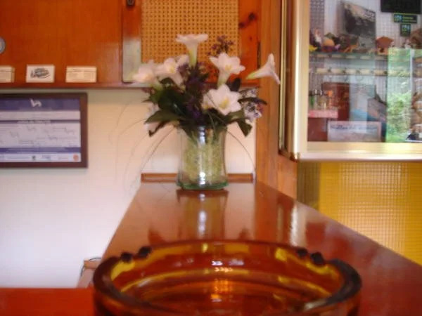 Hotel Monte y Mar