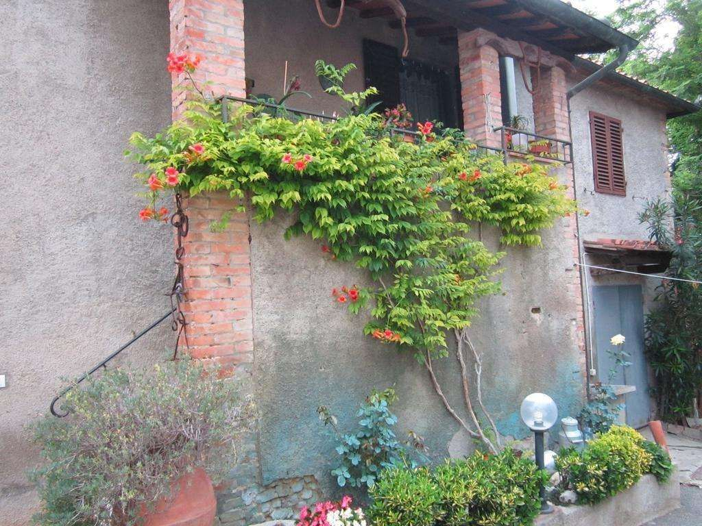 Agriturismo Il Colto