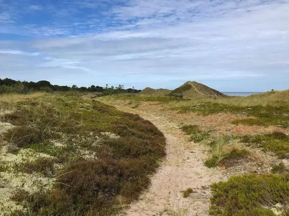 6 person holiday home in Læsø-By Traum