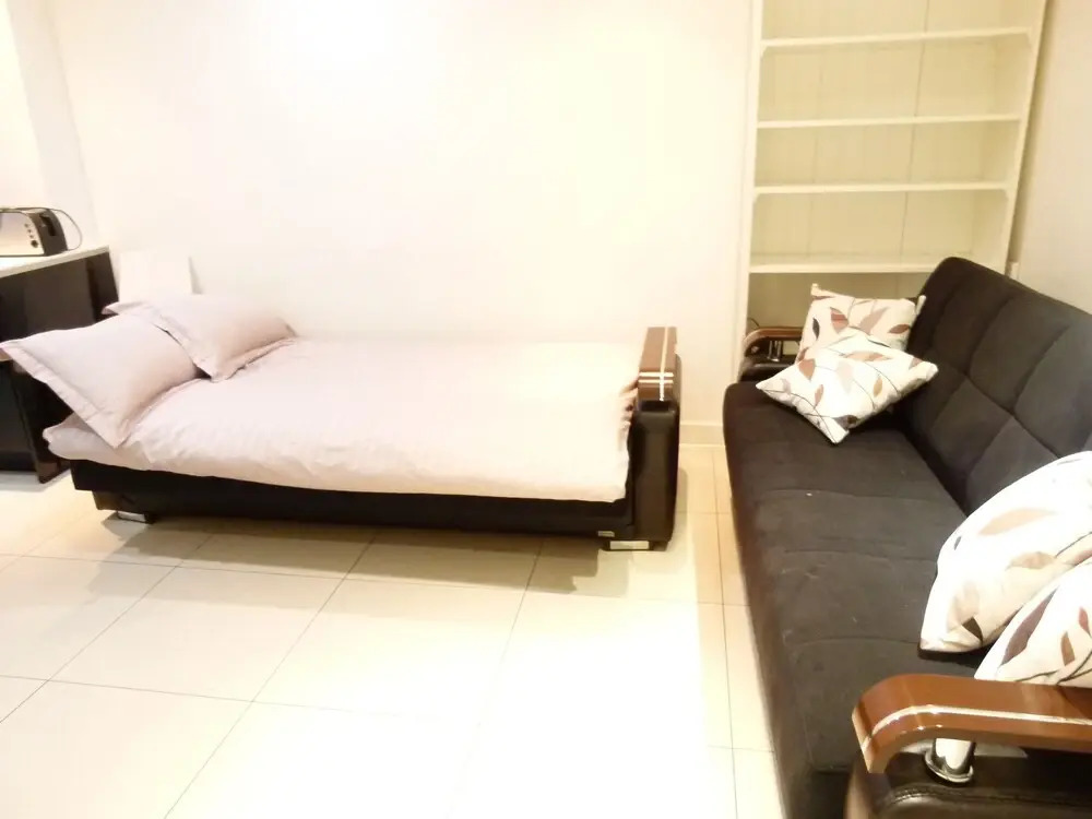 SS Property Hub - Large apartment near Hyde Park