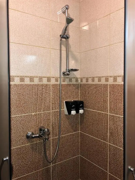 Apartment Janosevic