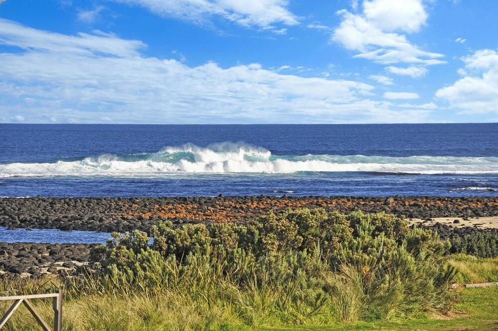 South Surf
