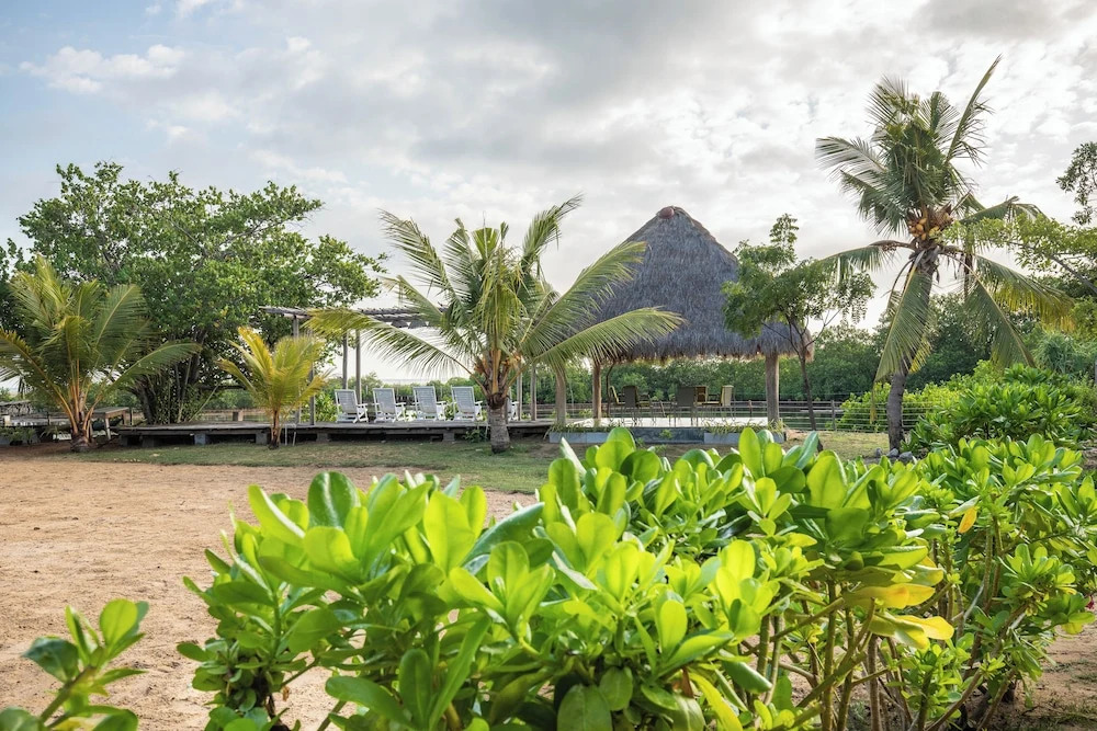 Club Mango Resort