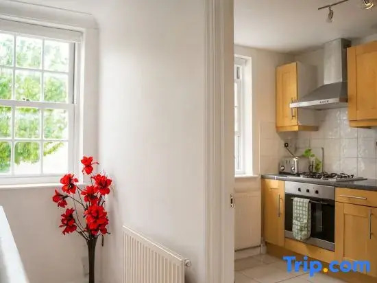 Modern Tower Bridge 3BR House