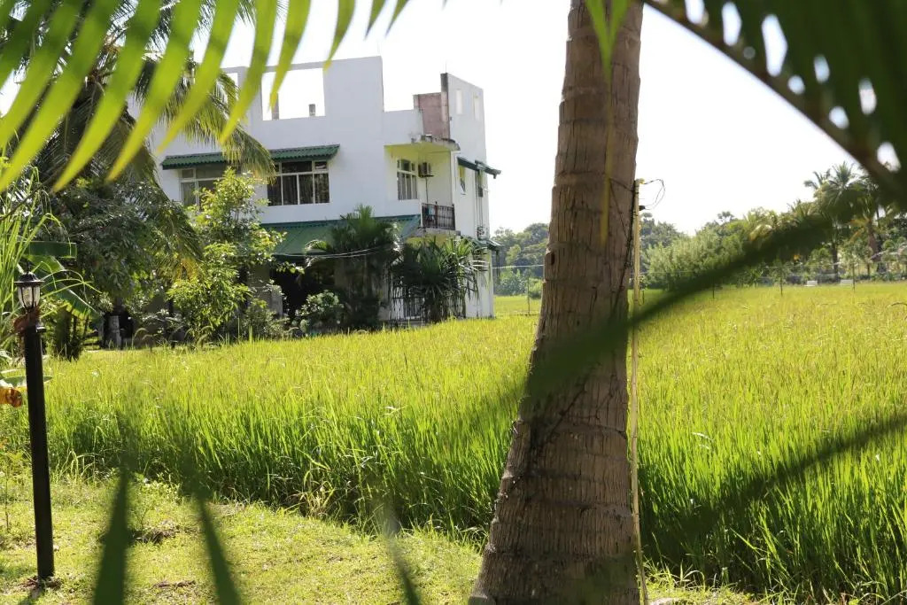 Manel Guest House
