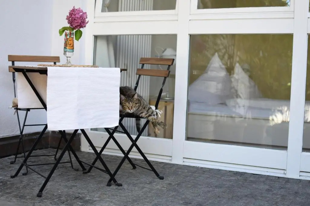 City Appartement