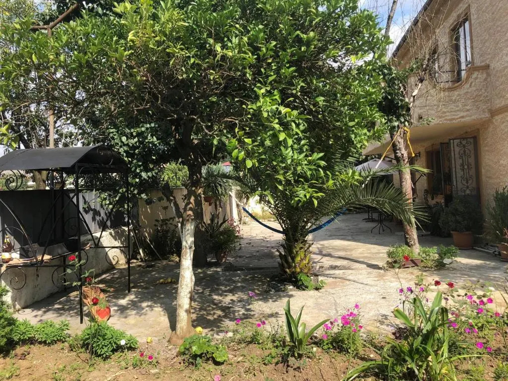 Cico Guest House