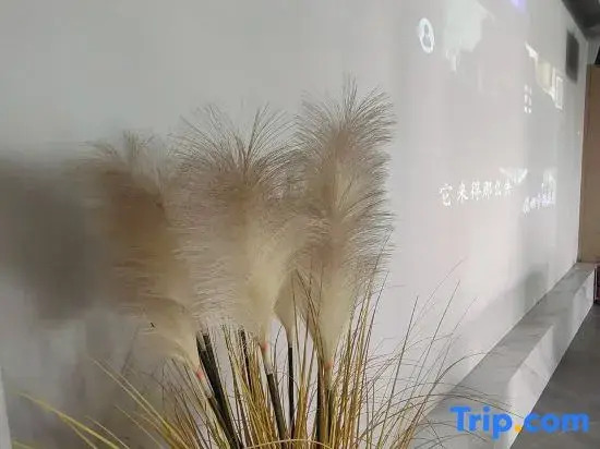 Wenzhou Xinyuan Haige Homestay