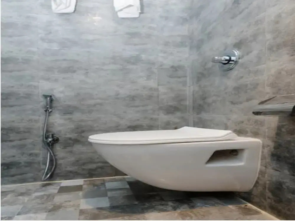 Hotel Riva International Goregaon- Near NESCO