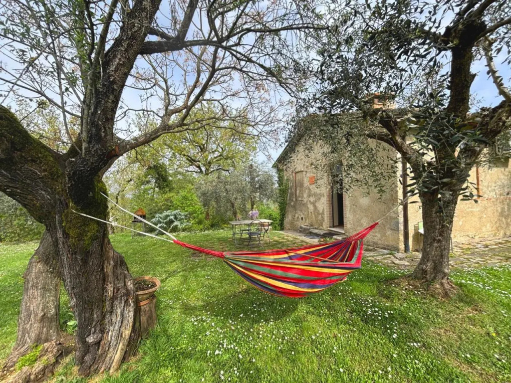 La Capanna di Poggio al Lupo