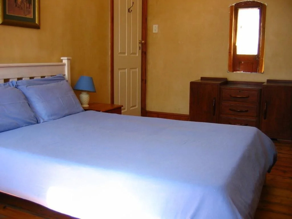 Carnival Court Backpackers - Hostel