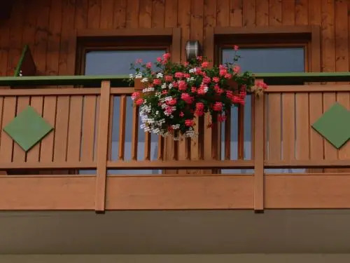 Hotel Pineta