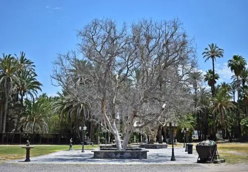 La Huerta Hotel
