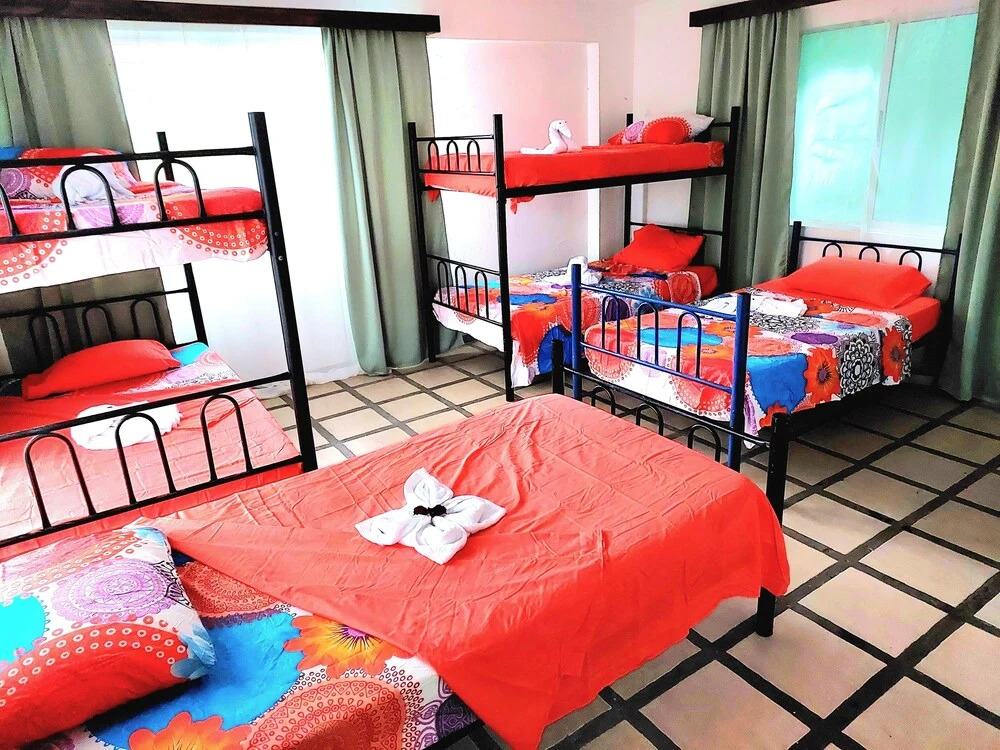 Pura Vida Hostel Manuel Antonio